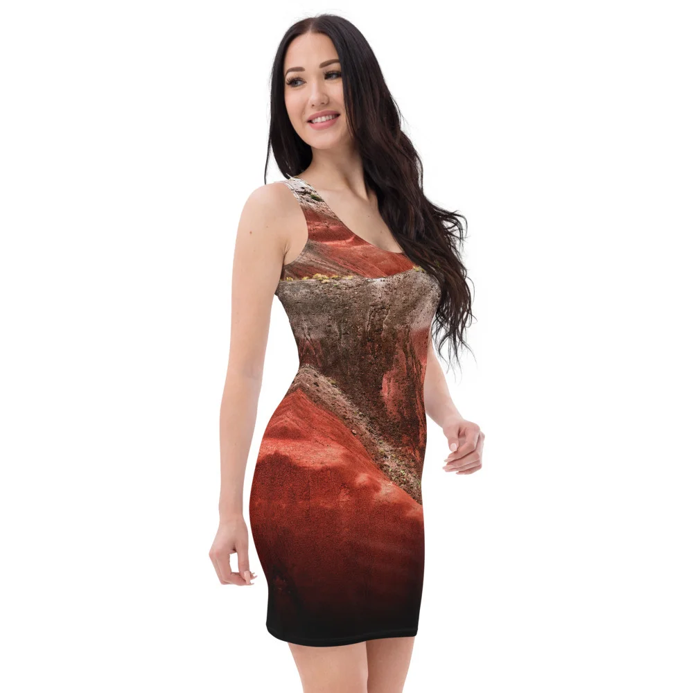 Diversity - Bodycon all over print dress