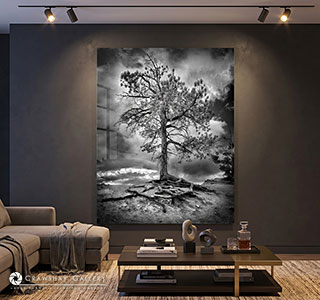 The Watchman