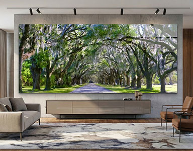 Wormsloe