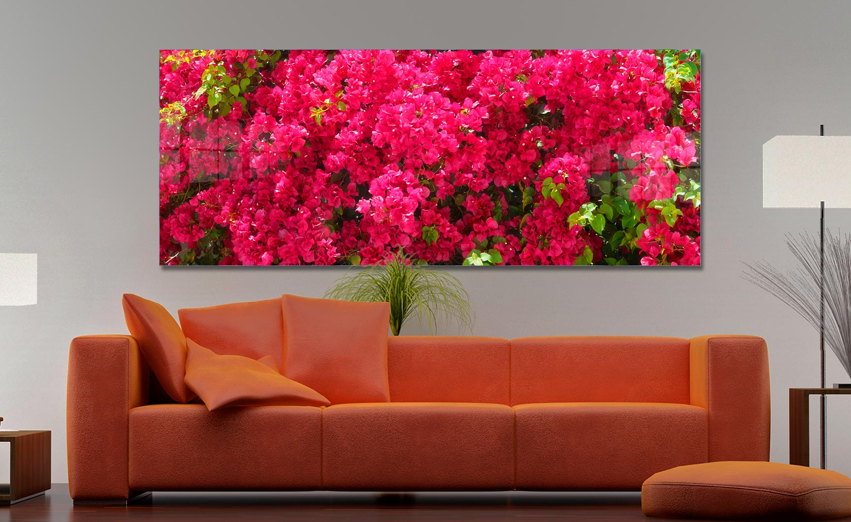 Bougainvillea Fine Art Photograph