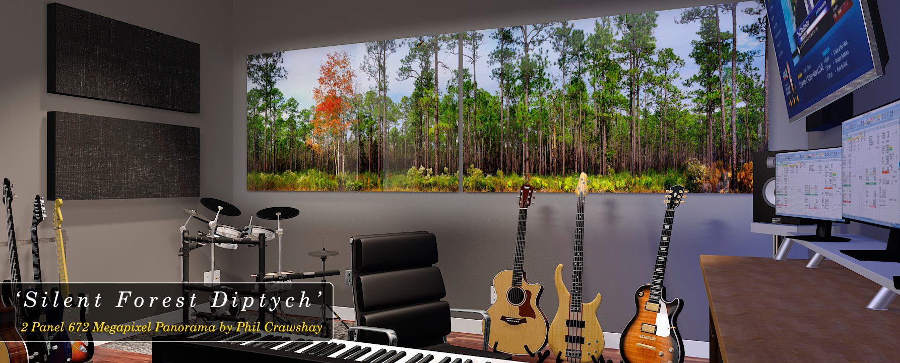 Large format fine art photograph of Cary State Forest