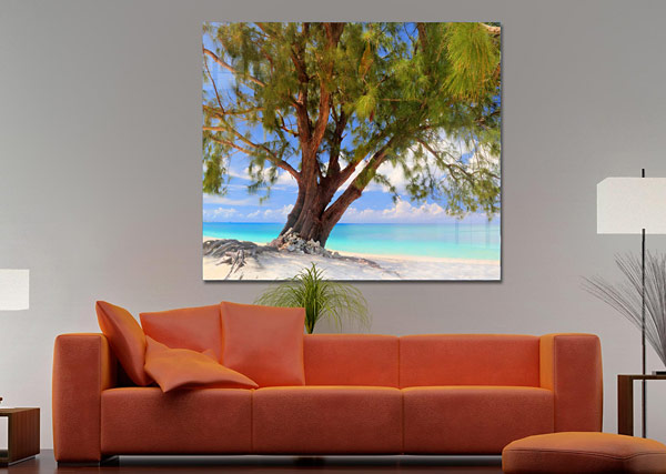Calming Beach Tree | Seven Mile Beach West Bay Grand Cayman