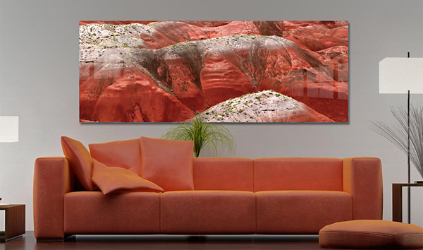 The Petrified Forest | Petrified Forest  Arizona