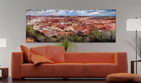 Petrified Forest | The Petrified Forest Holbrook Arizona