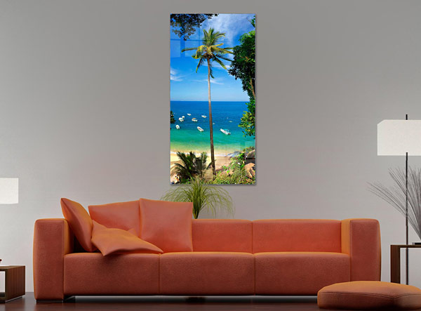 Mexican Beach Palm Tree | Yelapa Beach Yelapa Jalisco