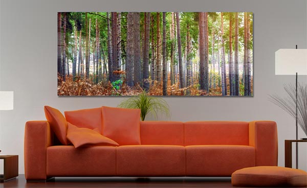 Classic Trees |  Ockham Surrey