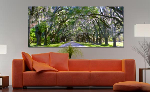 Live Oak Tree Tunnel Savanah GA | Wormsloe State Historic Park Savanah Georgia