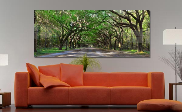 Wormsloe Live Oak Tree Tunnel Savanah GA | Wormsloe State Historic Park Savanah Georgia