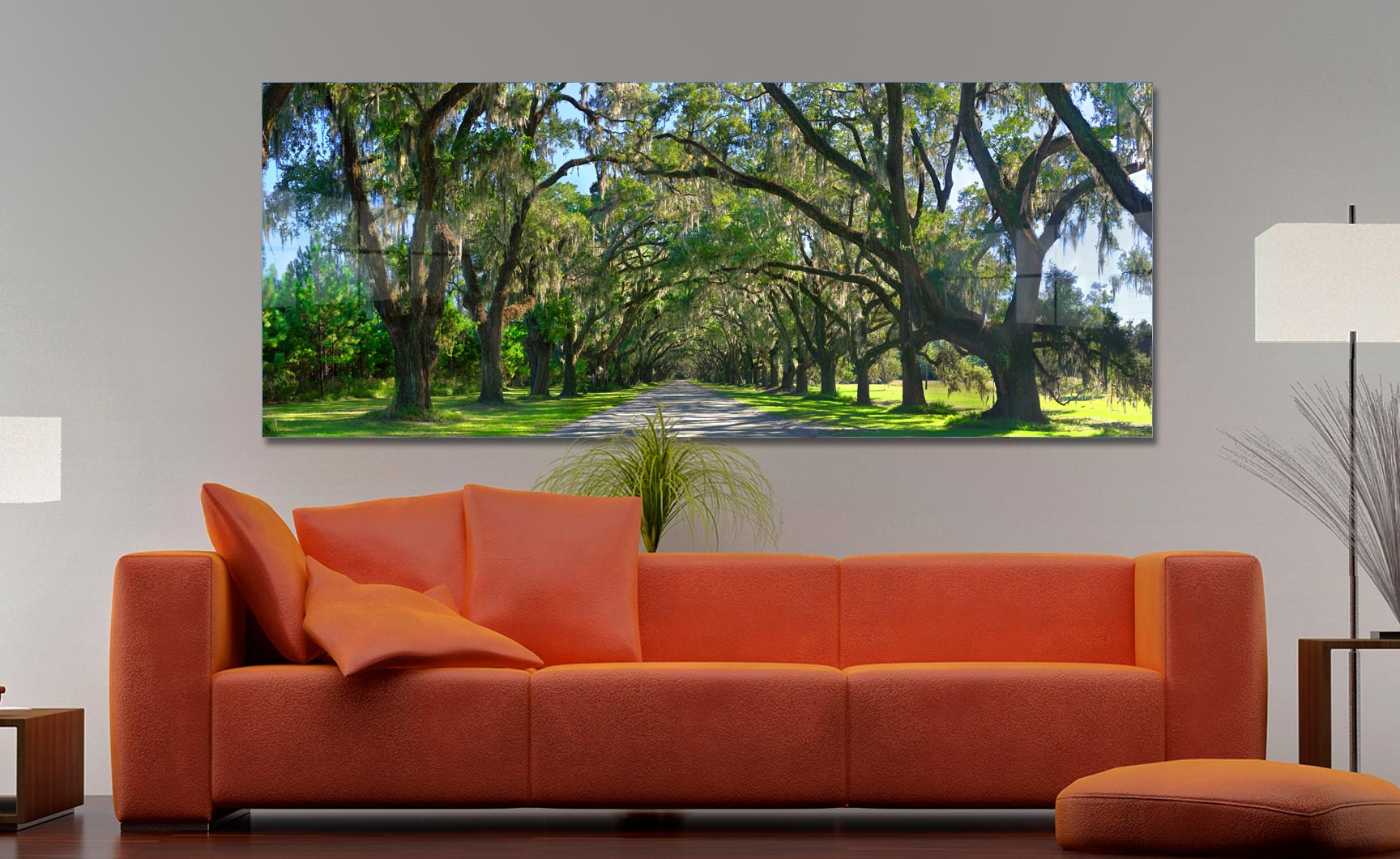 The Wormsloe Tree Tunnnel