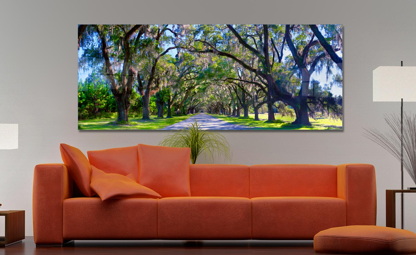 The Wormsloe Tree Tunnnel