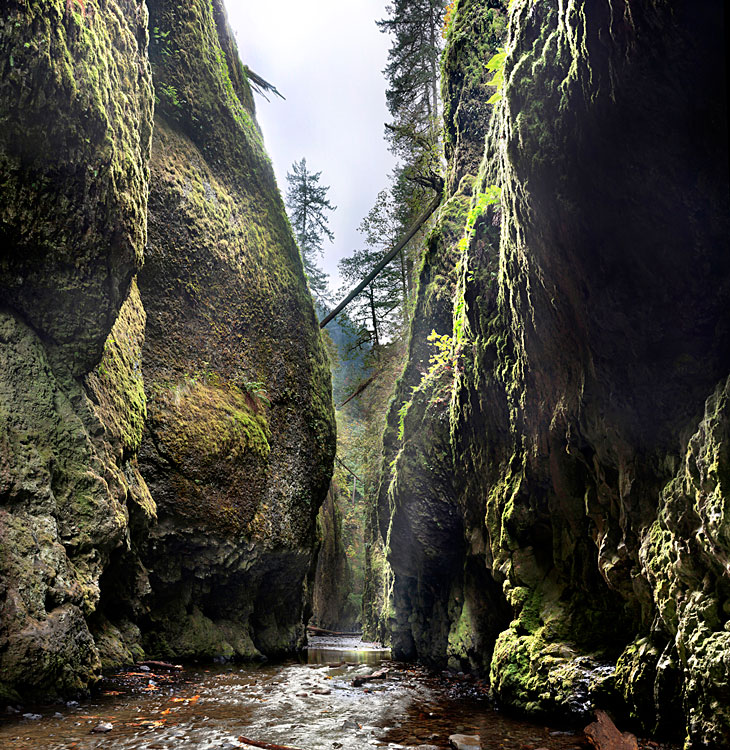 Oneota Gorge Portland Oregon Large Format Photograph