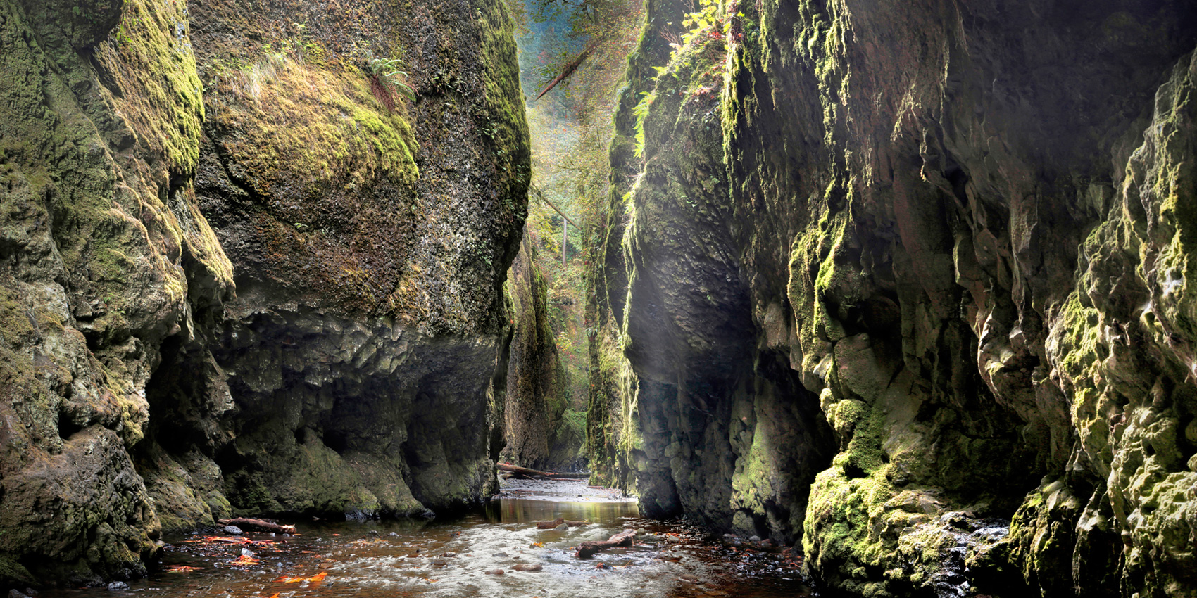Oneota Gorge Portland Oregon Large Format Photograph