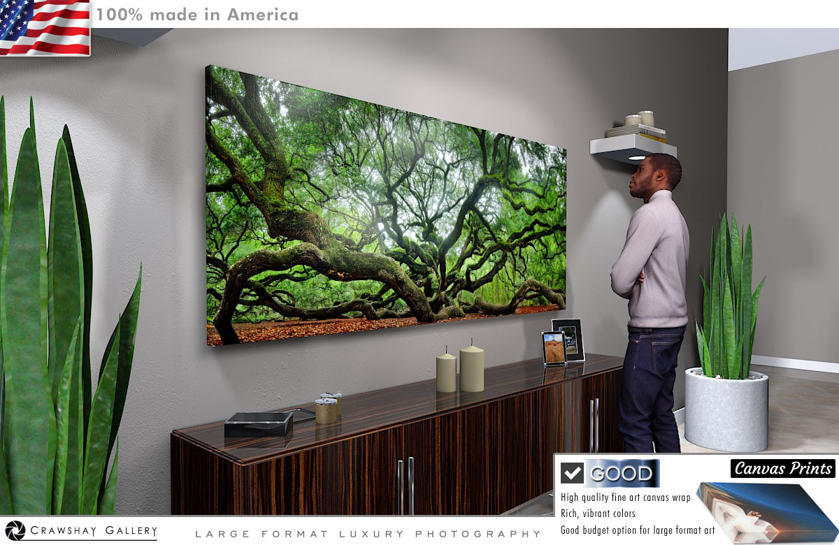 Canvas Print of Large Format Angel Oak SC