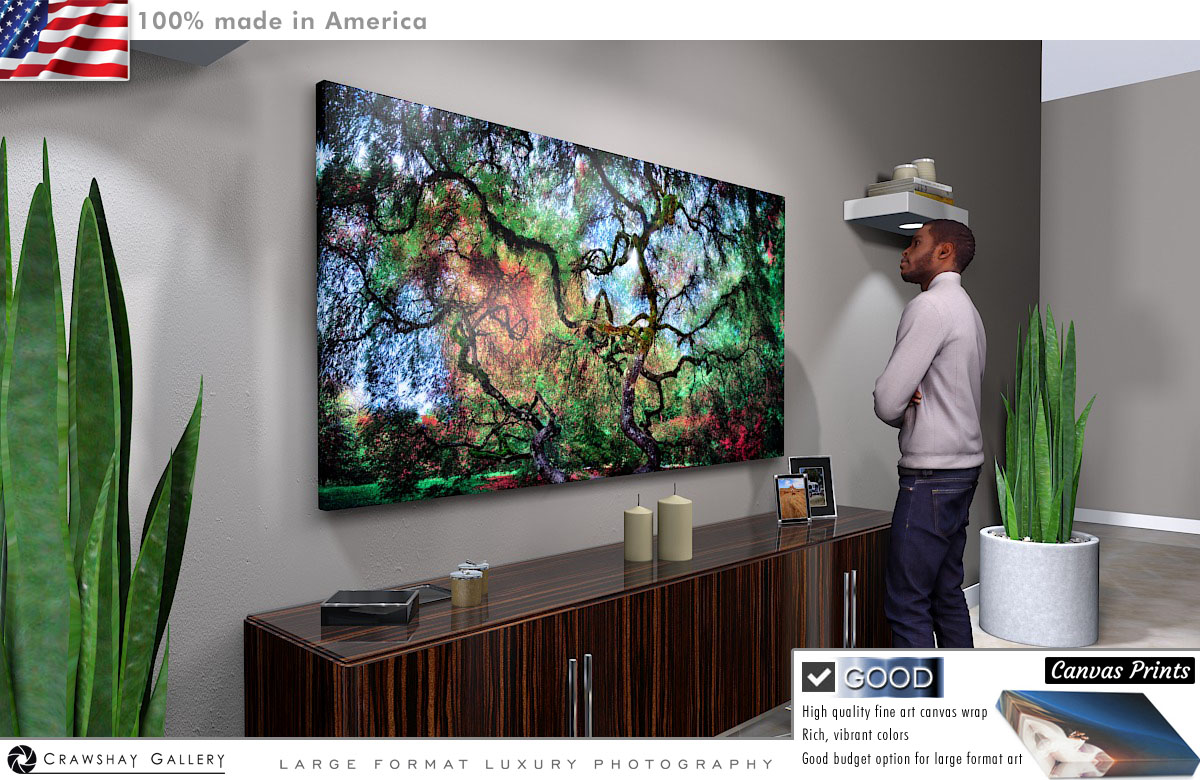 Canvas Print of Japanese Maple Tree Portland Oregon