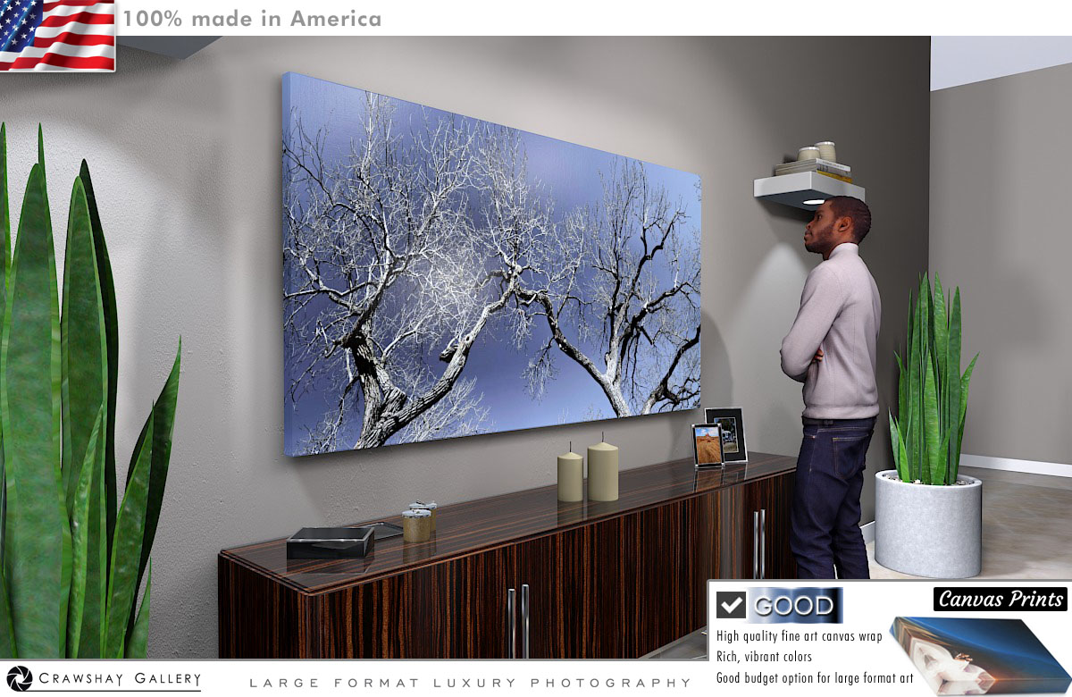 Canvas Print of Leafless Tree over Blue Sky