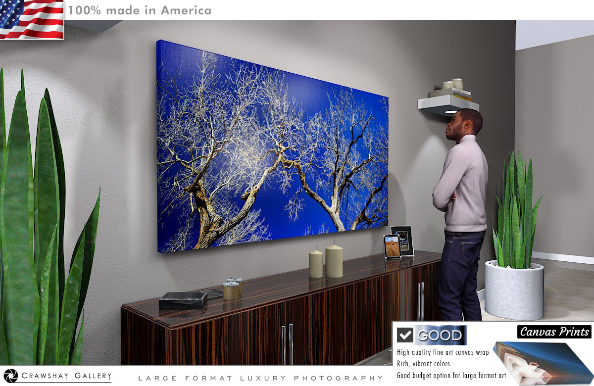 Canvas Print of Leafless Tree over Blue Sky