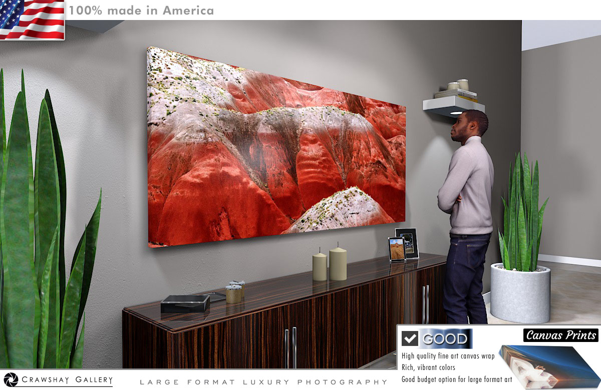 Canvas Print of The Petrified Forest, Arizona