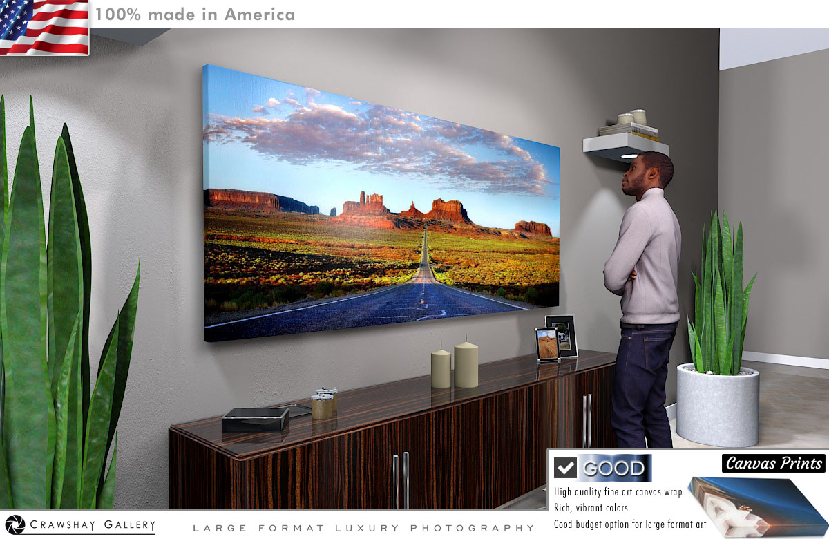 Canvas Print of Forest Gumps Long Road
