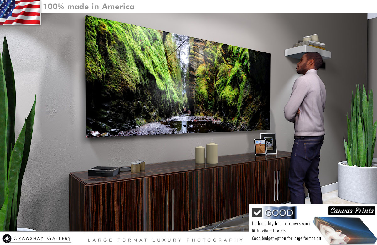 Canvas Print of Oneonta Gorge Rear