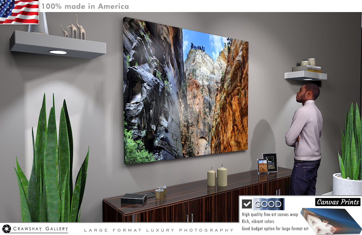 Canvas Print of The Narrows Zion National Park