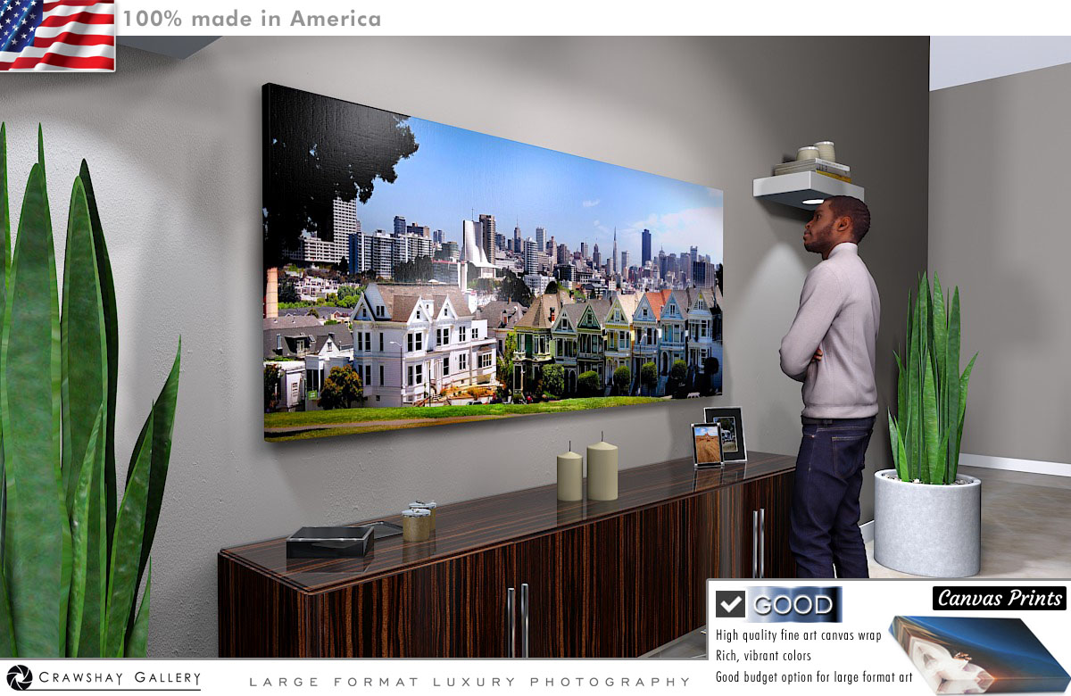 Canvas Print of The Painted Ladies Alamo Square