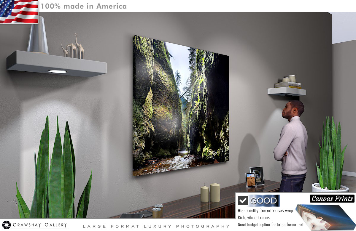 Canvas Print of Oneota Gorge Portland Oregon