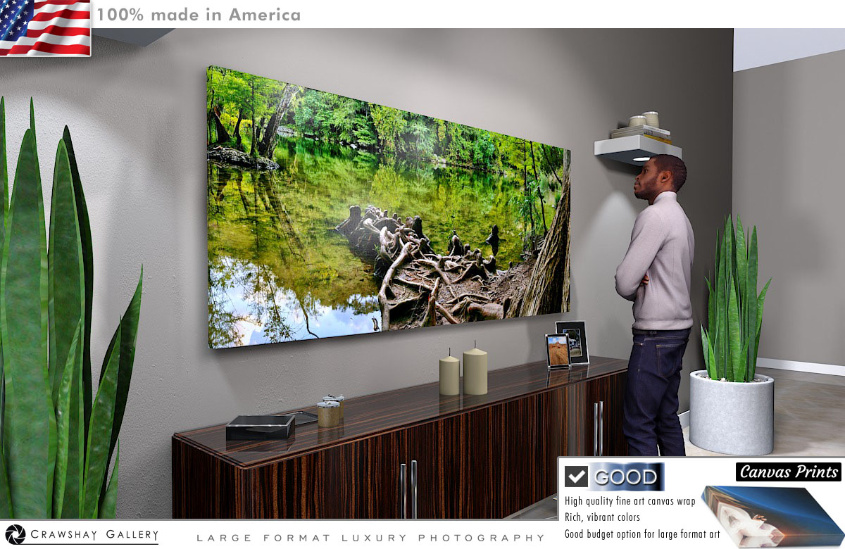 Canvas Print of Strange Roots in the Water