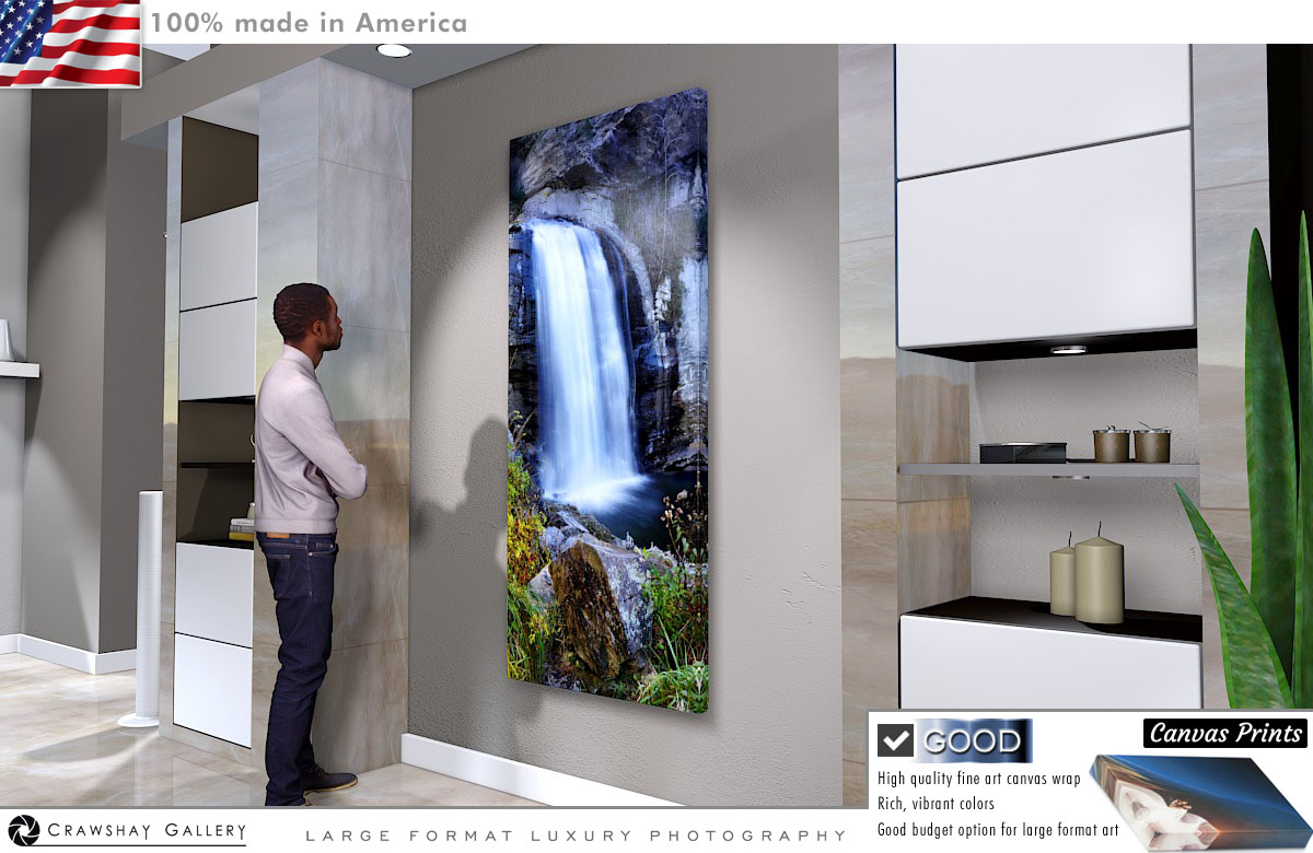 Canvas Print of Looking Glass Falls Photography