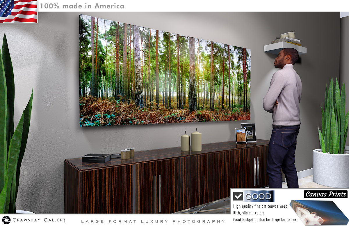 Canvas Print of Rows of Tall Pine Trees