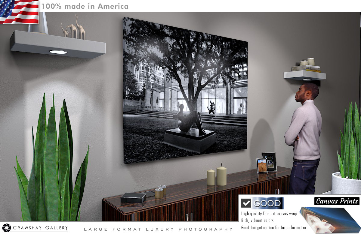 Canvas Print of Nasher Sculpture Garden Blakc and White