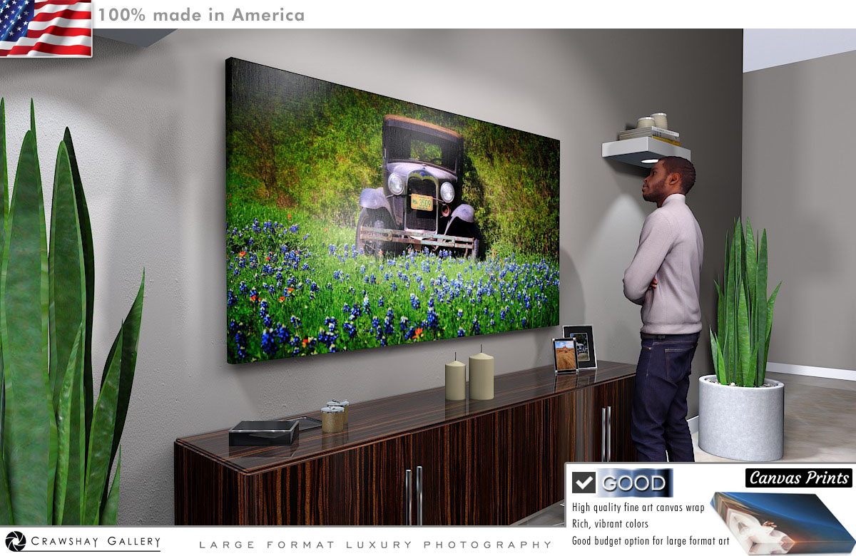 Canvas Print of Texas Bluebonnets Vintage Ford