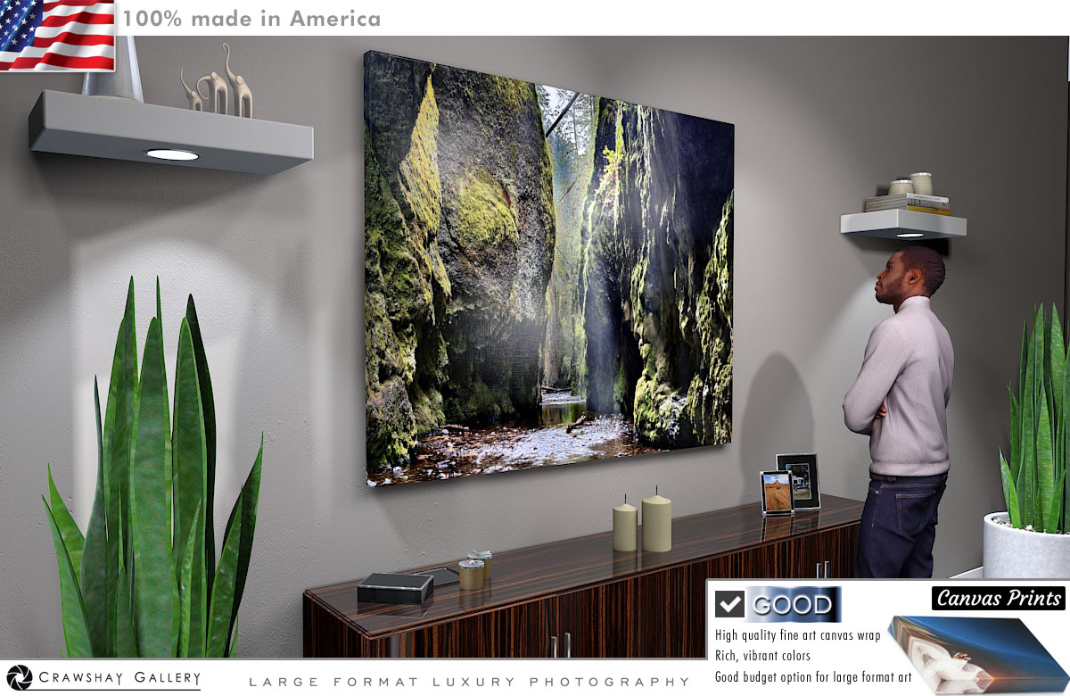 Canvas Print of Oneota Gorge Portland Oregon