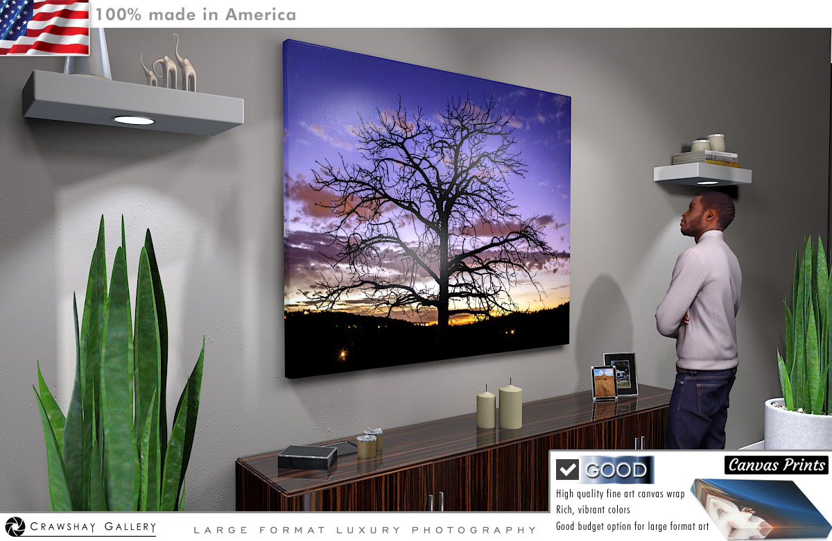 Canvas Print of Santa Fe Sunset Tree