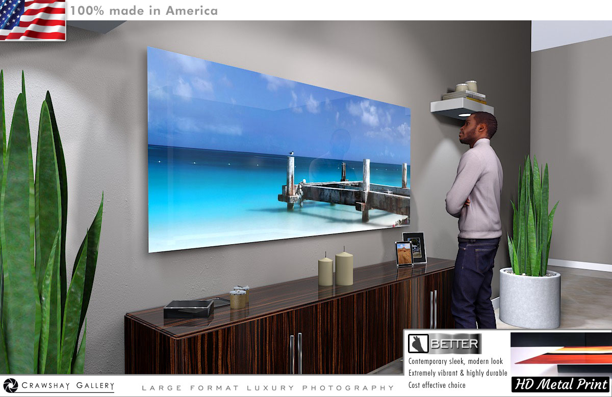 Direct to Metal Print