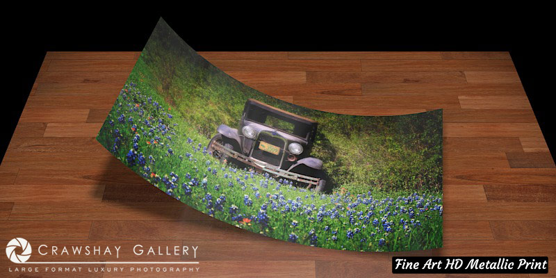 Fine Art Print of Texas Bluebonnets Vintage Ford