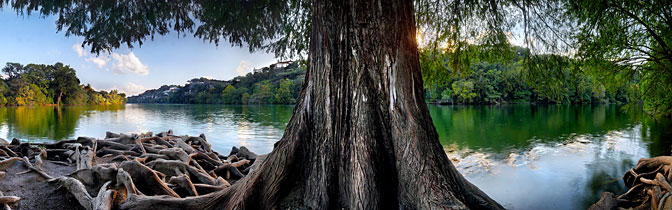 Enchanted Forest | Ladybird Lake | Redbud Isle Austin Texas