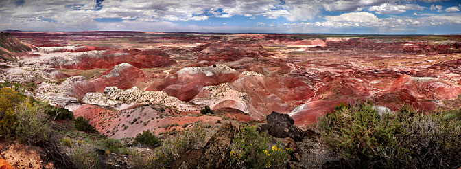 Forbidden Planet | Petrified Forest | The Petrified Forest Holbrook Arizona