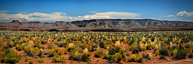 Painted Hills  Gooseneck State Park |  | Utah