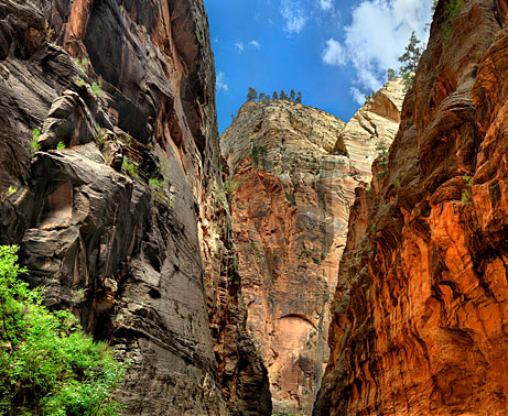 Roaring Rock | The Narrows | Zion National Park  Utah
