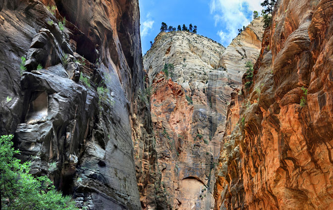 Roaring Rock  Zion National Park |  | Utah