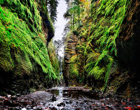 The Moss Temple | Moss Canyon | Columbia River Gorge Portland Oregon