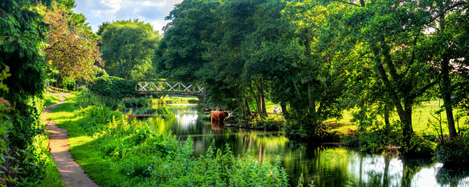 Verde | A Very English Scene | The River Wey Guildford Surrey