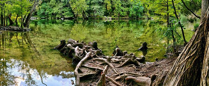 Water Ghosts  Redbud Isle | Austin | Texas