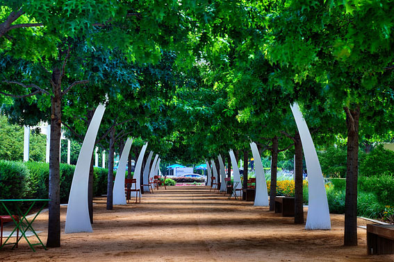 Klyde Arches  Klyde Warren Park | Dallas | Texas