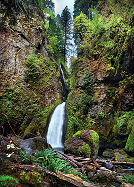 Heavens Garden  Columbia River Gorge | Portland | Oregon