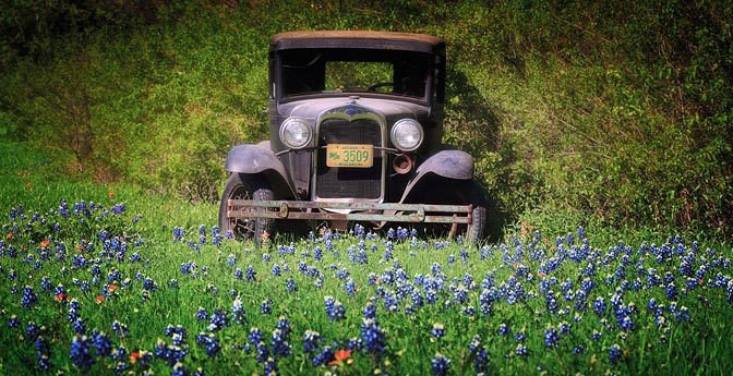 Old Ford | Old Ford - Bluebonnets | Ennis Dallas Texas
