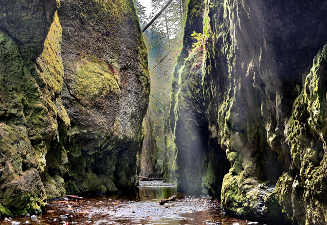 The Secret Garden Crop | Oneota Gorge | Columbia River Gorge Portland Oregon