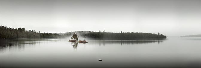 Solitude | Moody Lone Tree in Water |  Umbagog Lake Maine