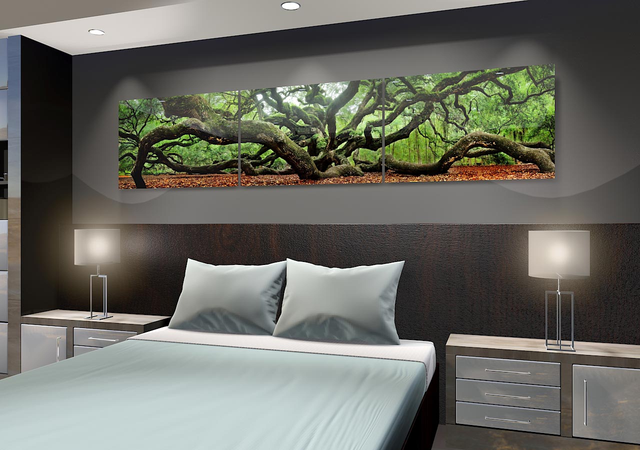 Angel Oak